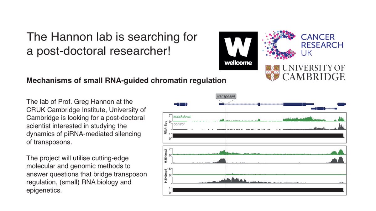 BenNicholson tweet media