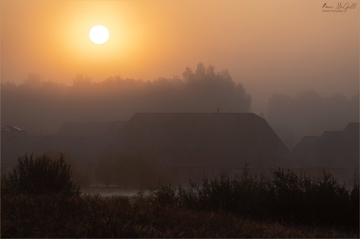IanMcNature's tweet photo. Sunrise over a Misty Brockholes Nature Reserve visitor centre last week @Lancswildlife @visitBrockholes #Lancashire #preston #sunrise #goldenhour https://t.co/RCF5oqItCP