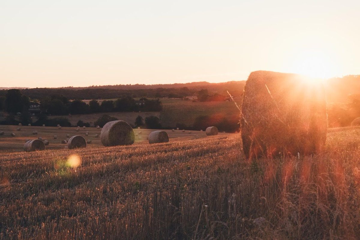 wbii's tweet photo. Charlene Lambert wrote on the growing recognition in Ireland of the importance of diversity and inclusion in the farming sector. Their model of developing specific programmes for women in the rural sector can be applied in every country. 
Read more here: https://t.co/fjxWl1y8fB https://t.co/20uC7W743a
