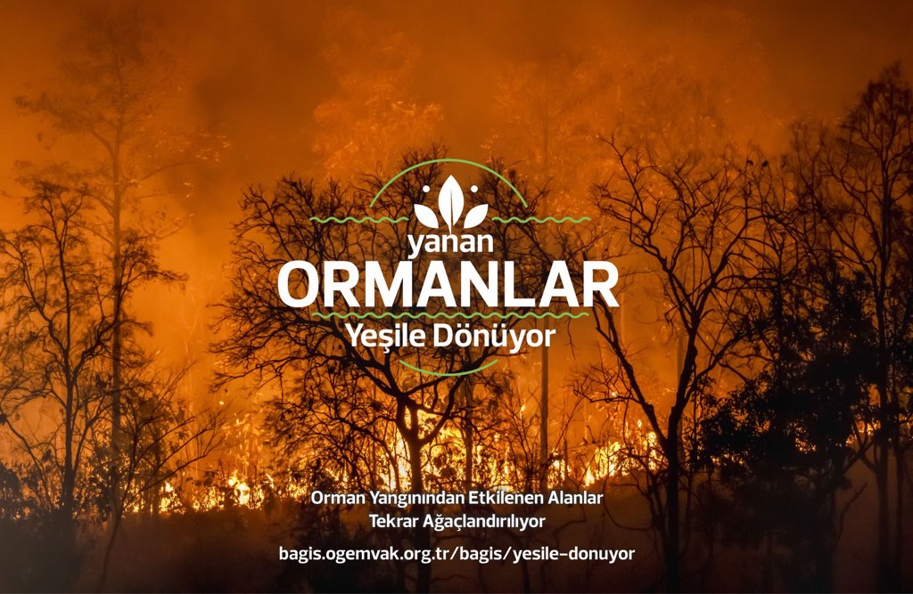 ☘️ #GeleceğeNefes olmak için bu gönderiyi RT yapan her 100 kişi için 1, yorum atan her 50 kişi için ise 5 fidan bağışlıyoruz.

Fidan bağışı yaparak sende #GeleceğeNefes olabilirsin! 

#TürkiyeYanıyor