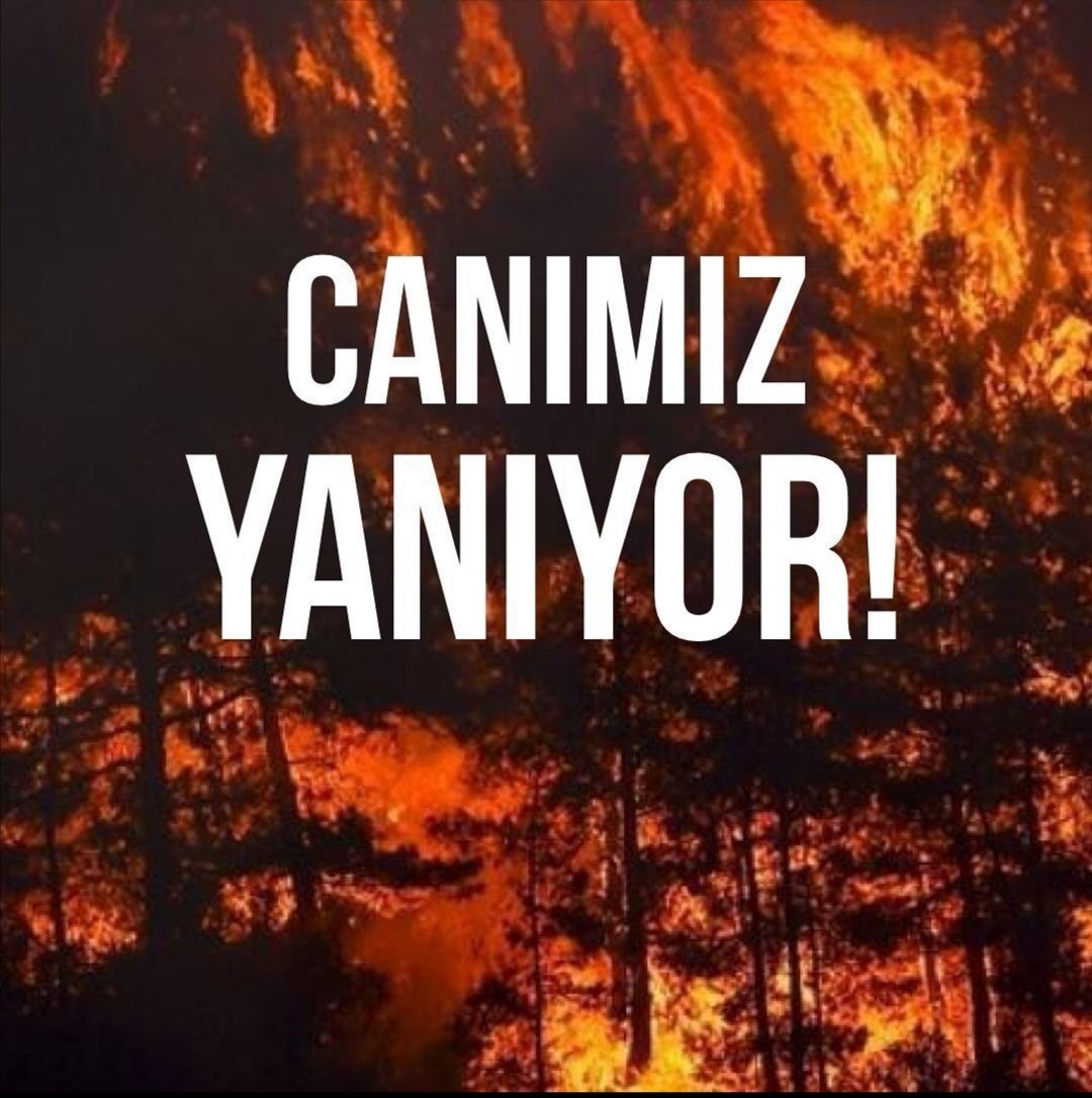 cmshnofficial's tweet photo. #TürkiyeYanıyor https://t.co/2aI6tBBVfW