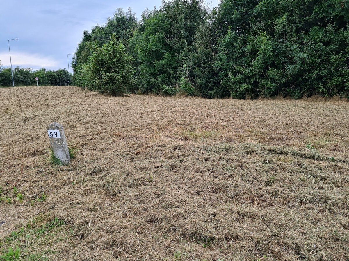 Meath Birder (@meathbirder) on Twitter photo Today at 1.00pm two vans with four ride on grass cutters from <a href="/TIITraffic/">TII Traffic</a> cut down approx 400 sq meters of wild meadow at Nine Mile Stone Ashbourne, not one inch of it posed a road safety issue. Pure environmental vandalism. PLEASE RETWEET. <a href="/BioDataCentre/">Biodiversity Ireland</a> #Ashbourne #Meath Today at 1.00pm two vans with four ride on grass cutters from <a href="/TIITraffic/">TII Traffic</a> cut down approx 400 sq meters of wild meadow at Nine Mile Stone Ashbourne, not one inch of it posed a road safety issue. Pure environmental vandalism. PLEASE RETWEET. <a href="/BioDataCentre/">Biodiversity Ireland</a> #Ashbourne #Meath