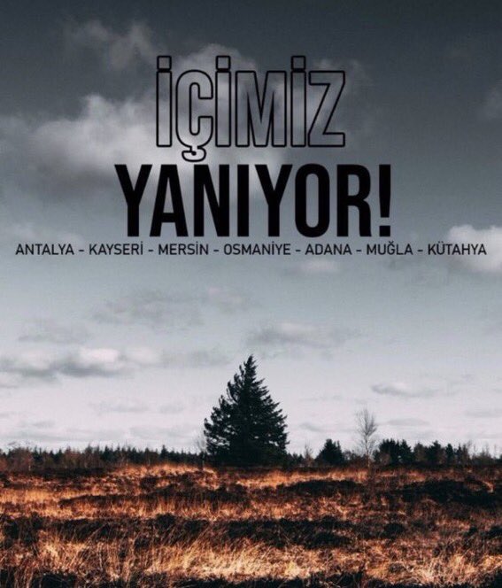 Soysuzlar!!
 #TürkiyeYanıyor