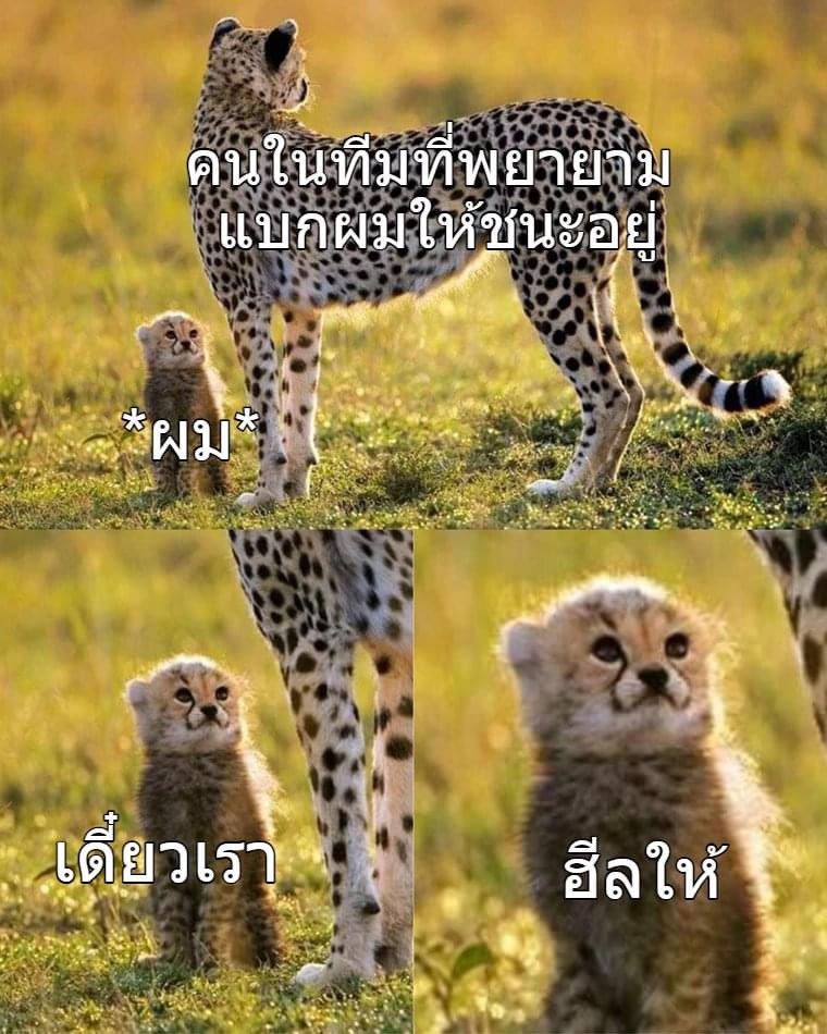 ตาออมคับเมีย tweet media