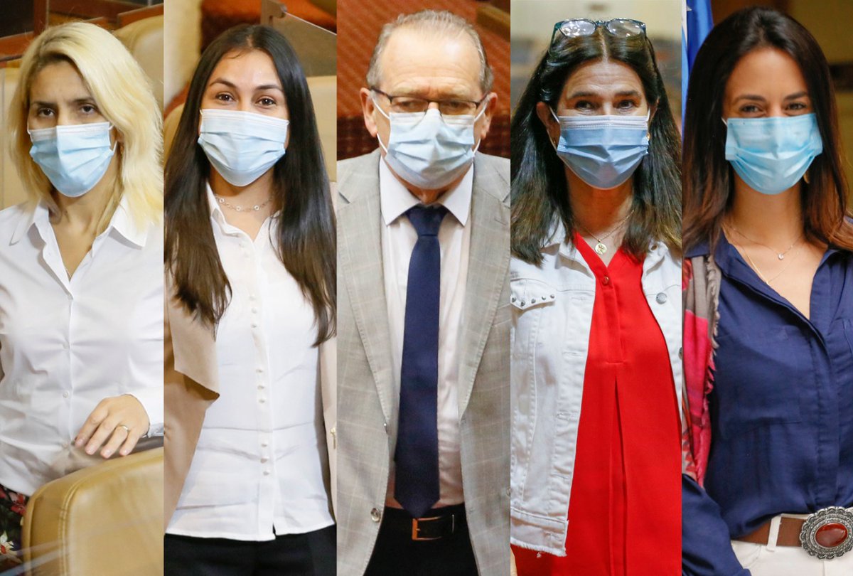 Diputados RN tweet media