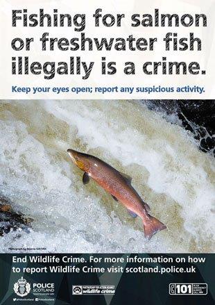 PoliceScotland's tweet photo. Planning a fishing trip? 🎣

In Scotland, permission is required to fish on rivers, lochs, reservoirs and ponds. 

Fishing without a licence is poaching and it is an offence. #StopWildlifeCrime

Find out more ➡️ https://t.co/BoixeLbciO https://t.co/TvsIKu2OTT
