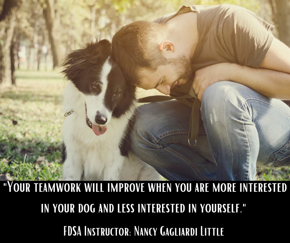 FenziAcademy's tweet image. #DogLover #dogtrainingtips #FDSA