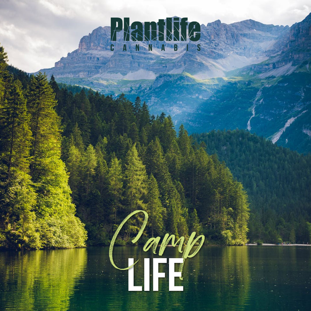 Welcome to the good "camp" life with #plantlifecannabis! 💚 🌿