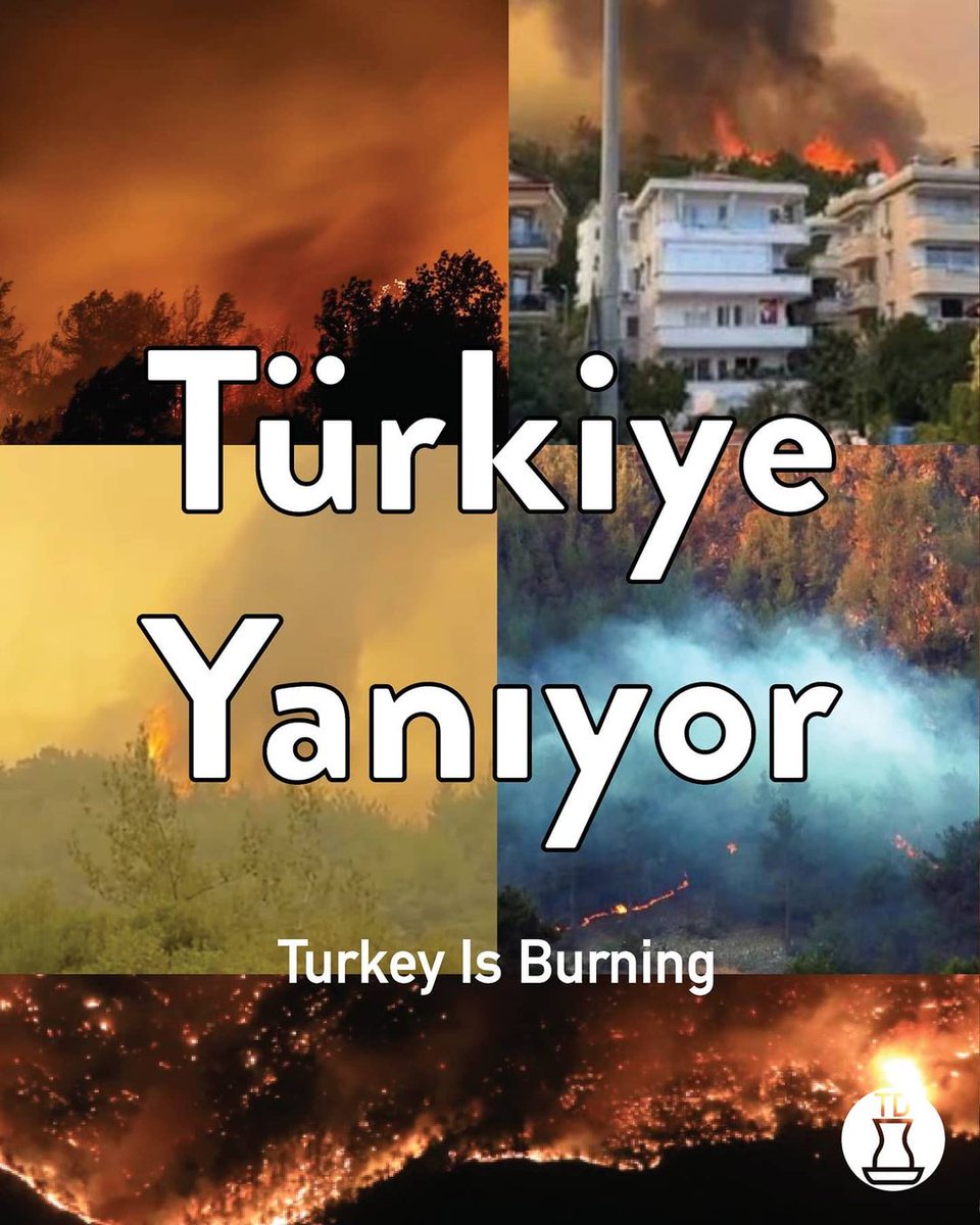 #Turkeyisburning #PKKyakti