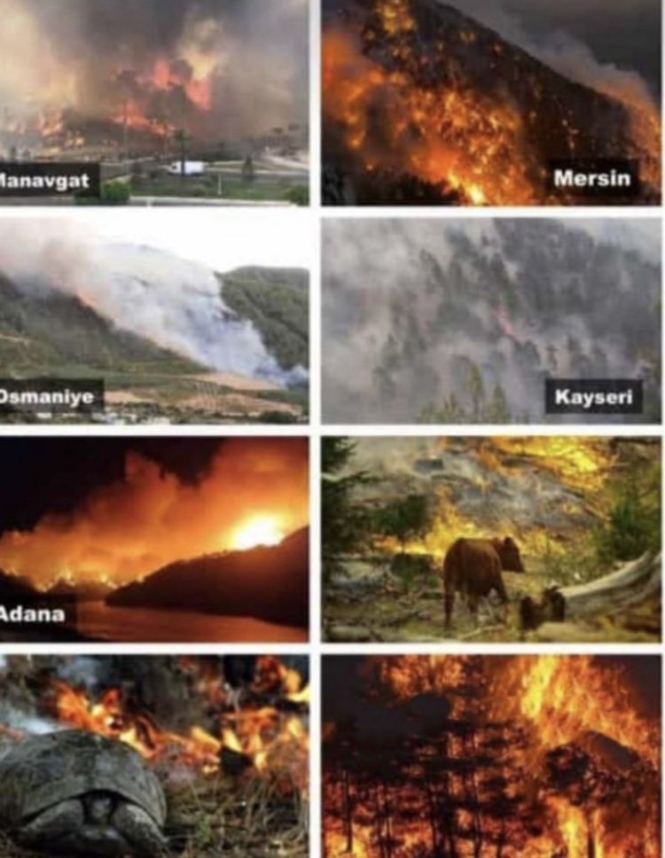 EB0YHANJI's tweet photo. 🚨TW // DISASTER PLEASE SPREAD🚨

WHAT HAPPENS IN TURKEY?

Big, unstoppable fires are now all over Turkey. Many people lost their relatives, homes, and farms. One of the fires is close to the Mersin nuclear power plant and if the fires are not stopped there’ll be a big disaster+ https://t.co/SGRuPNr3Vy