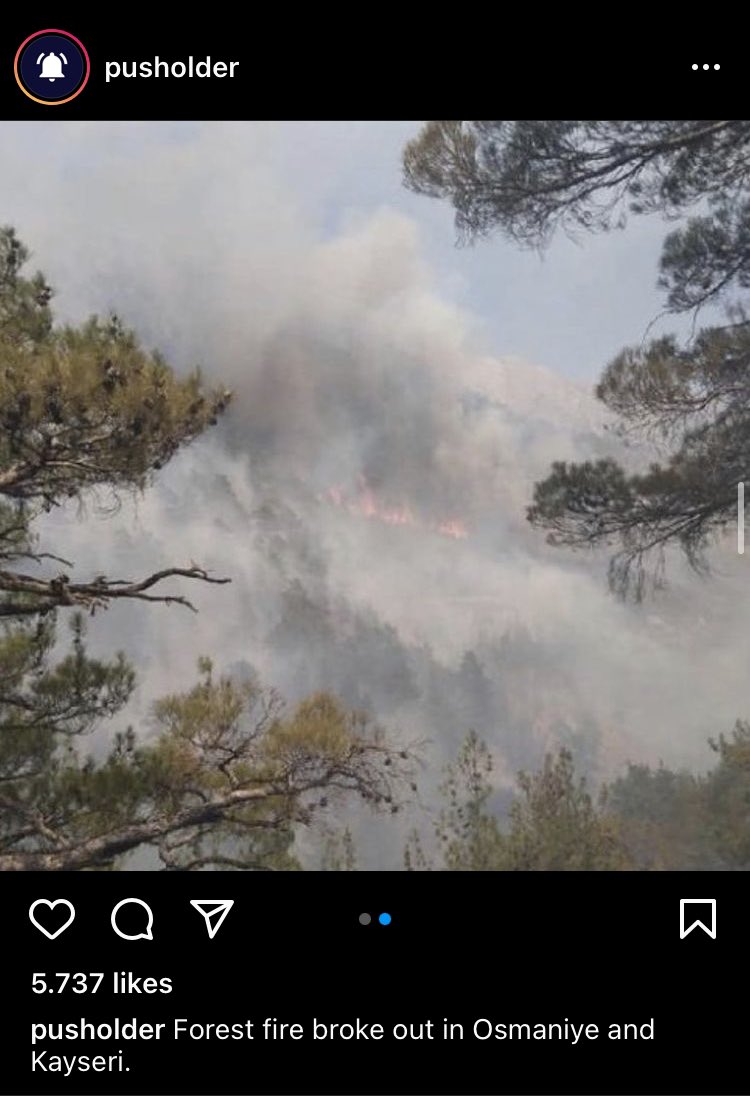 EB0YHANJI's tweet photo. +The possibilities of our country may not be enough after a while and the whole of Turkey may become ashes.  Please spread this to make our voice heard to a wider audience thank you so much.

#TürkiyeYanıyor 
#TurkeyIsBurning 
#TurkeyNeedsHelp https://t.co/SYb5uf1dT9
