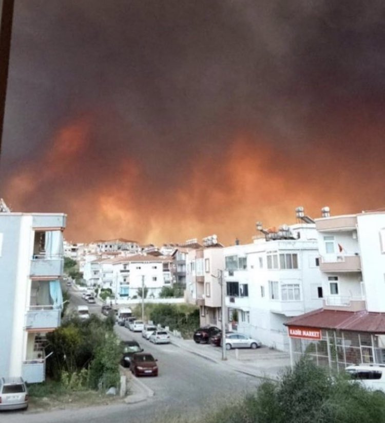 EB0YHANJI's tweet photo. +The possibilities of our country may not be enough after a while and the whole of Turkey may become ashes.  Please spread this to make our voice heard to a wider audience thank you so much.

#TürkiyeYanıyor 
#TurkeyIsBurning 
#TurkeyNeedsHelp https://t.co/SYb5uf1dT9