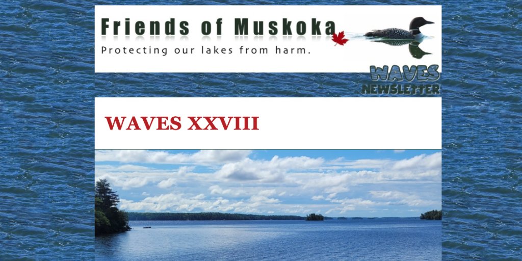 WAVES XXVIII - mailchi.mp/friendsofmusko…