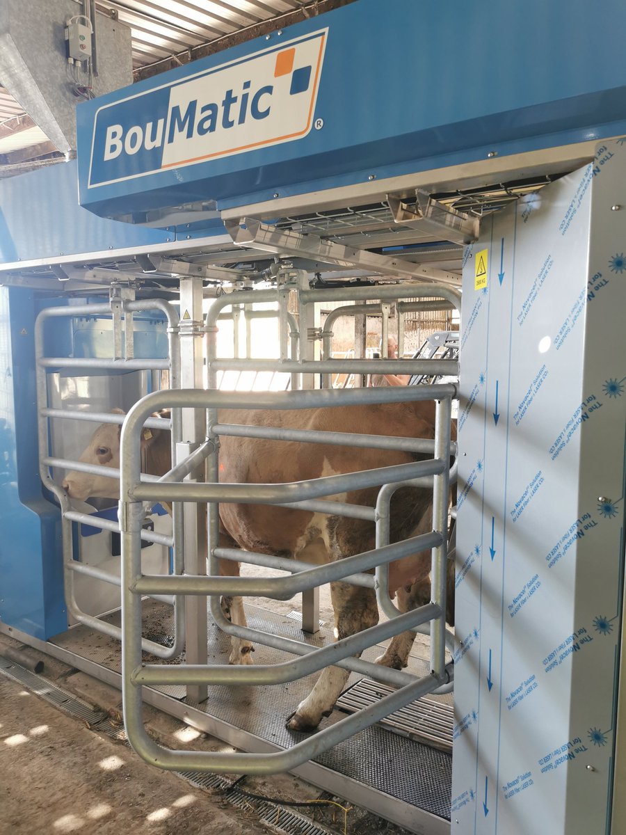 michaeldowney6's tweet photo. First cow into this single box @boumatic_gm_ireland robot. Just for training. This new entrant farm will be milking shortly. Looking forward to it. Watch this space! #grasstomilk #roboticmilkingIreland #abcgrazing #ABCroboticgrazing https://t.co/mQhznujRcm