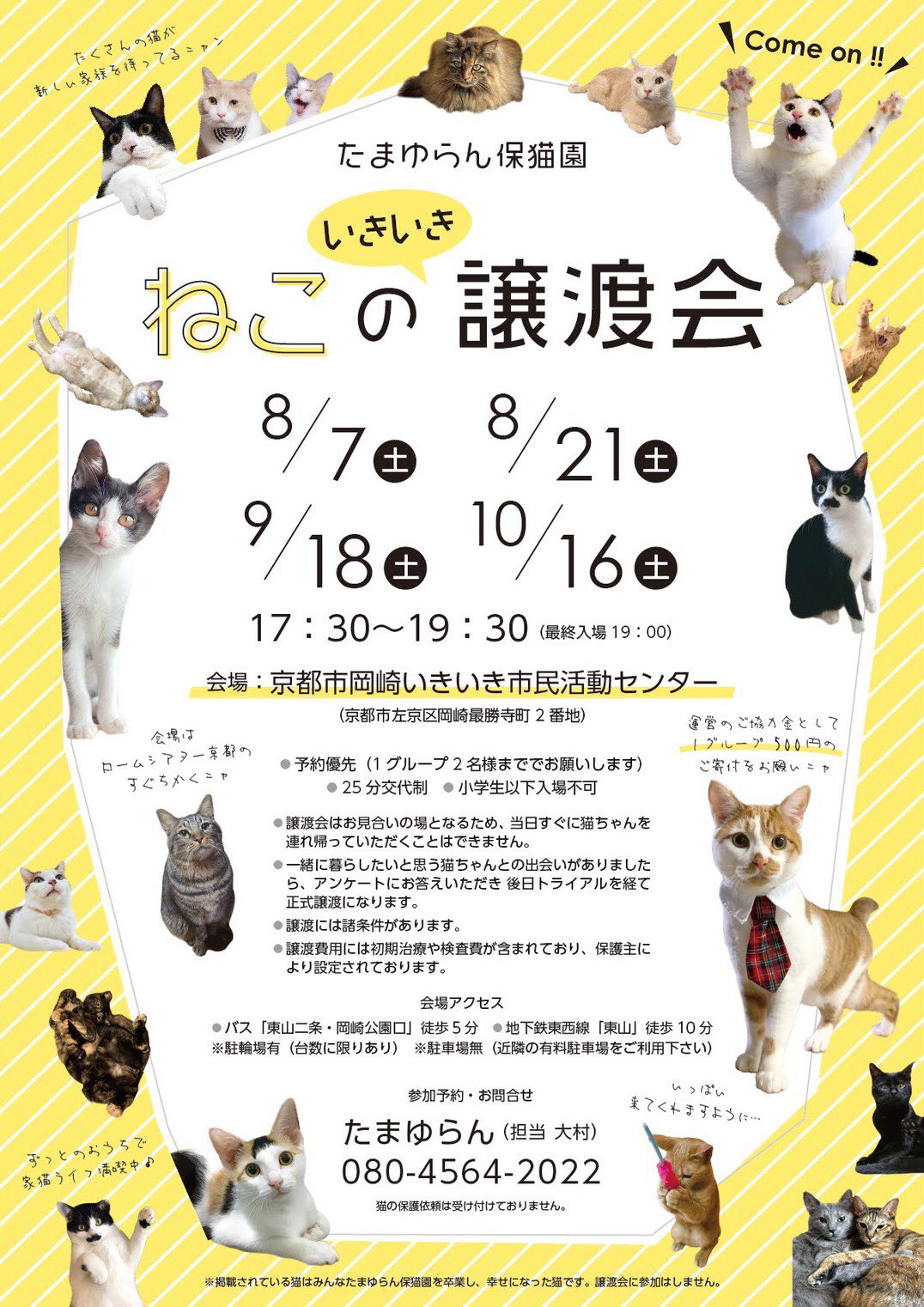 Npo法人京都どうぶつあいごの会 Kyotodak Twitter