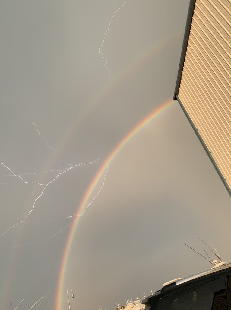 Aridan The Cyberelf™ 🏹👽 ᐰ☢☣ ღ ツ tweet media