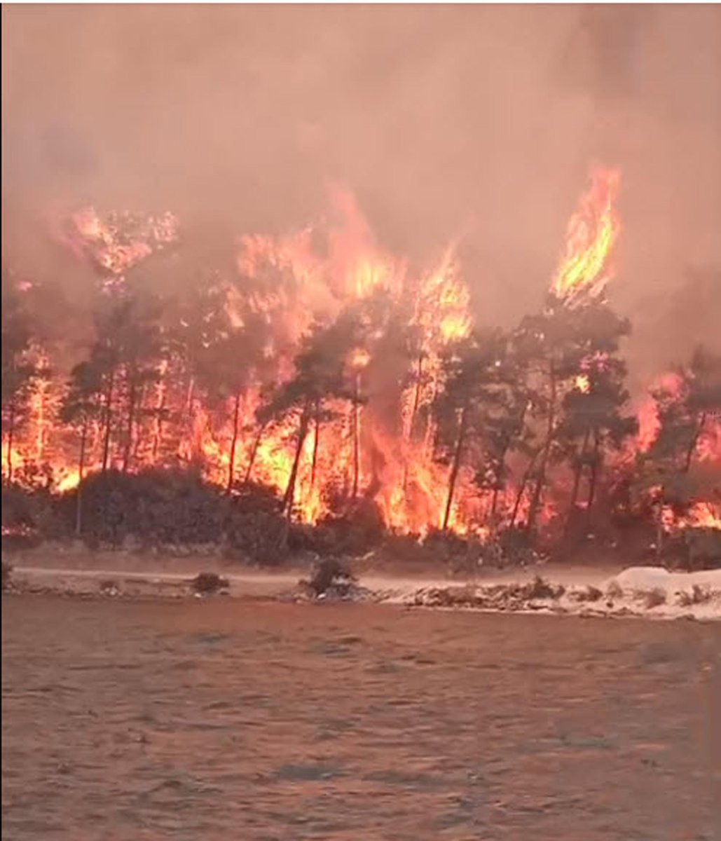 bbcturkce's tweet photo. Muğla'nın Milas ilçesinde çıkan yangın otellerin bahçelerine dayandı
https://t.co/r3GnFPX5VL https://t.co/rVSpwfaALz
