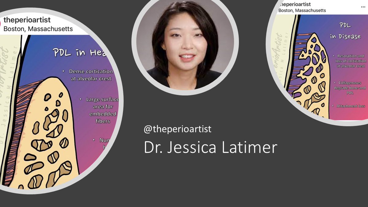 CDAOasisLive's tweet photo. CDA Oasis post at Dr. Jessica Latimer aka @theperioartist: https://t.co/n5Qkle3Gi7. #periodontist #periodontology @Harvard @AmerAcadPerio @McGillDentistry https://t.co/79mPxUl1TR