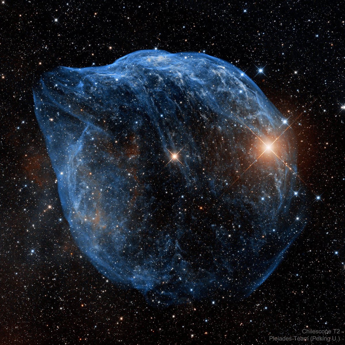 SETIInstitute's tweet photo. #PPOD: The Dolphin Nebula, also designated as Sharpless 308, RCW 11, or LBN 1052, is blown by hot winds from a massive star. About 60 light-years across, it covers an area about the size of a full Moon in our skies. Credit: Chilescope 2, Pleaides Astrophotography Team (Peking U.) https://t.co/03eQpgGBxc