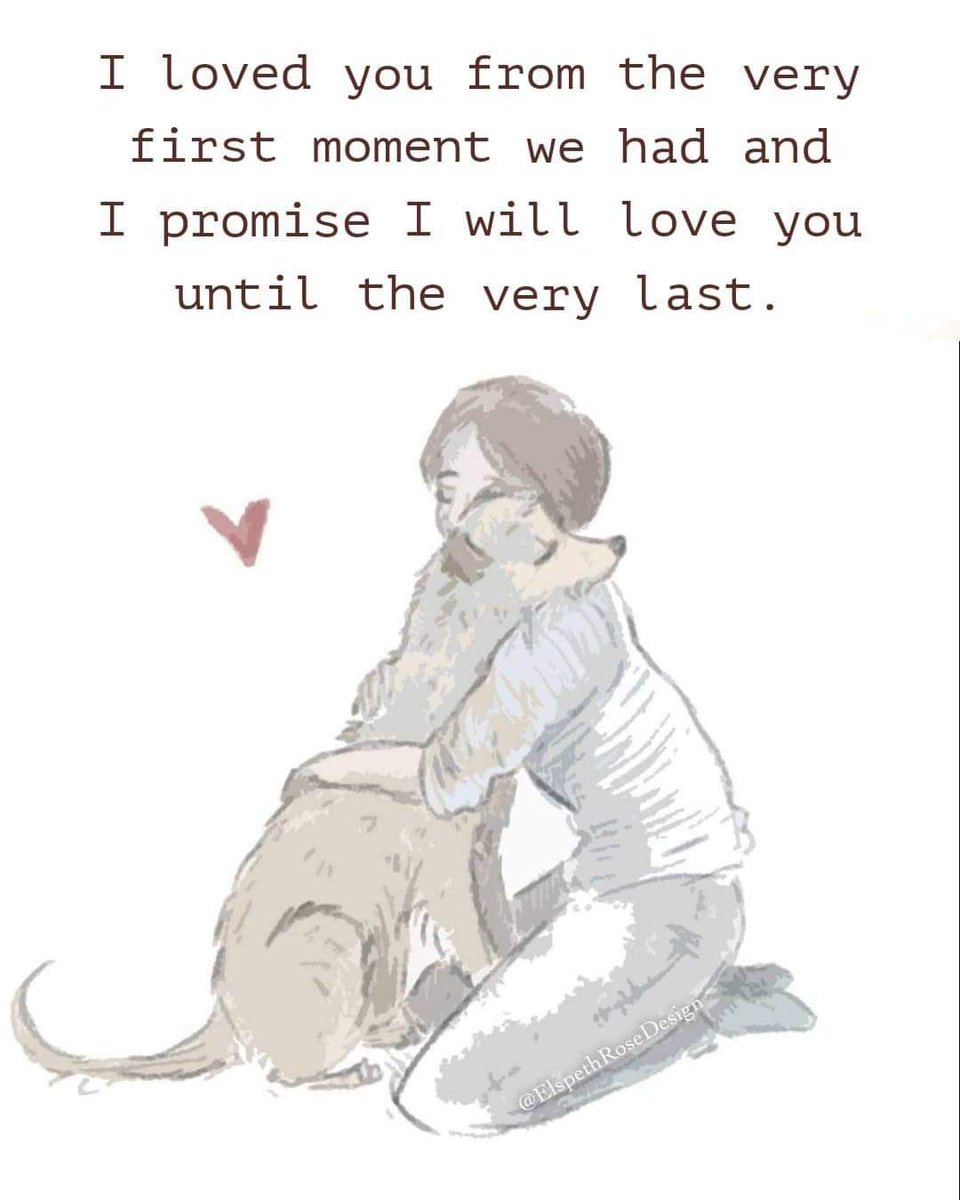 Truth 🐾❤🐾

#misfitmanordogrescue #adoptdontshop #rescuedogsofinstagram #fosterdogsofinstagram #thereisahomeforthemall #dogsofinstagram #seniordog #specialneedsdog