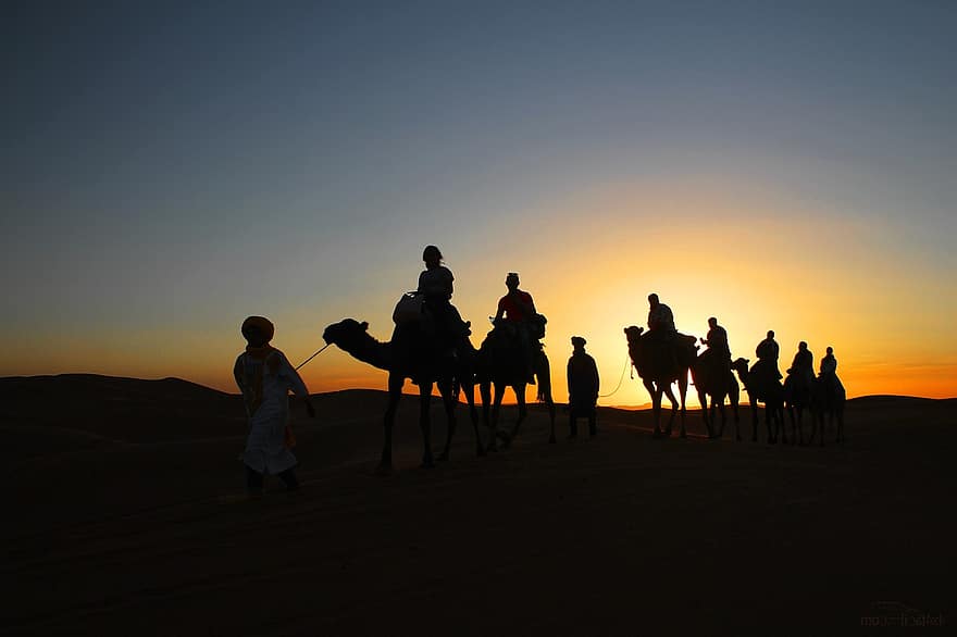 Караван сегодня. Караван верблюдов в пустыне. Верблюды в пустыне на закате. Пустыня силуэт. Пустыня и солнце Караван.