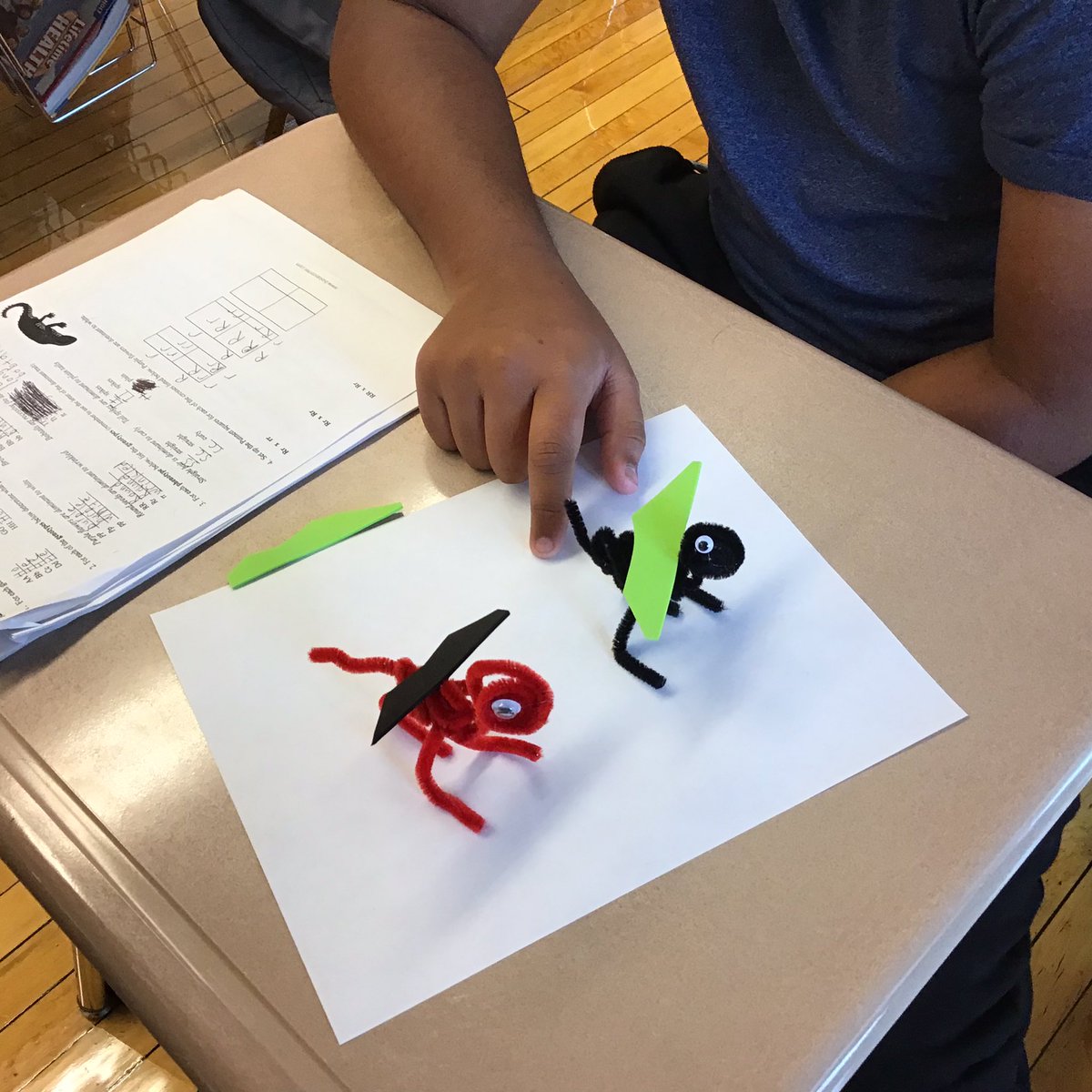 Students are doing a cool activity to learn about genetic classification by creating small dragons. They each made two dragons, one with dominant  phenotypes and the other with recessive phenotypes.