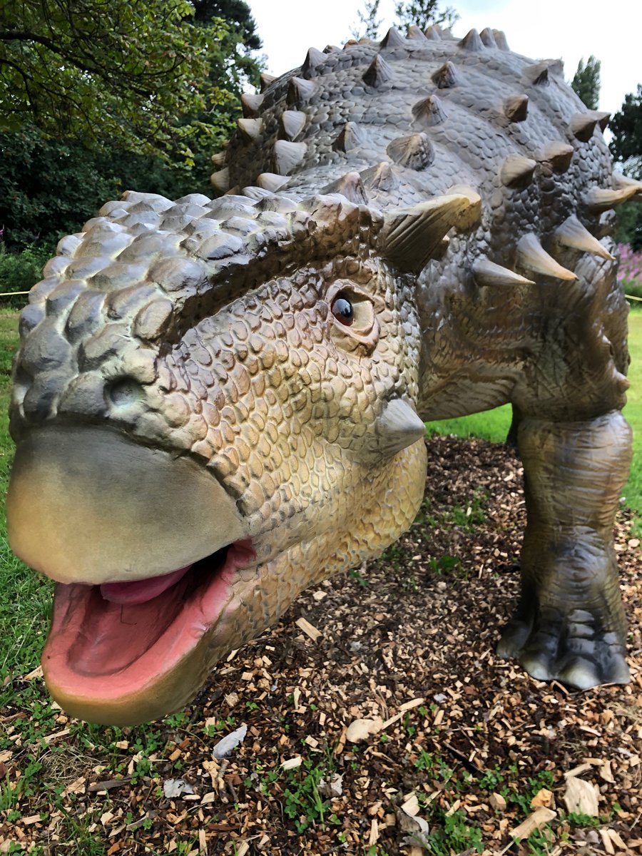 BennettBunchHQ's tweet photo. Dino Kingdom today 🦖🦕💚
@DinokingdomUk https://t.co/k6A2ifp2x6