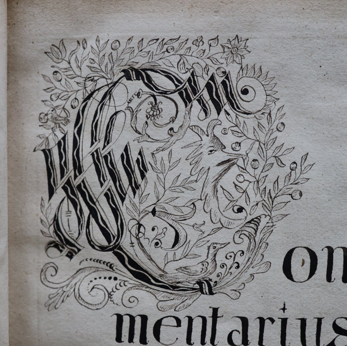 MarshsLibrary's tweet photo. A lovely initial C in a manuscript copy of Aristotle's Physics from 1663 https://t.co/2Lwgi5ajxL