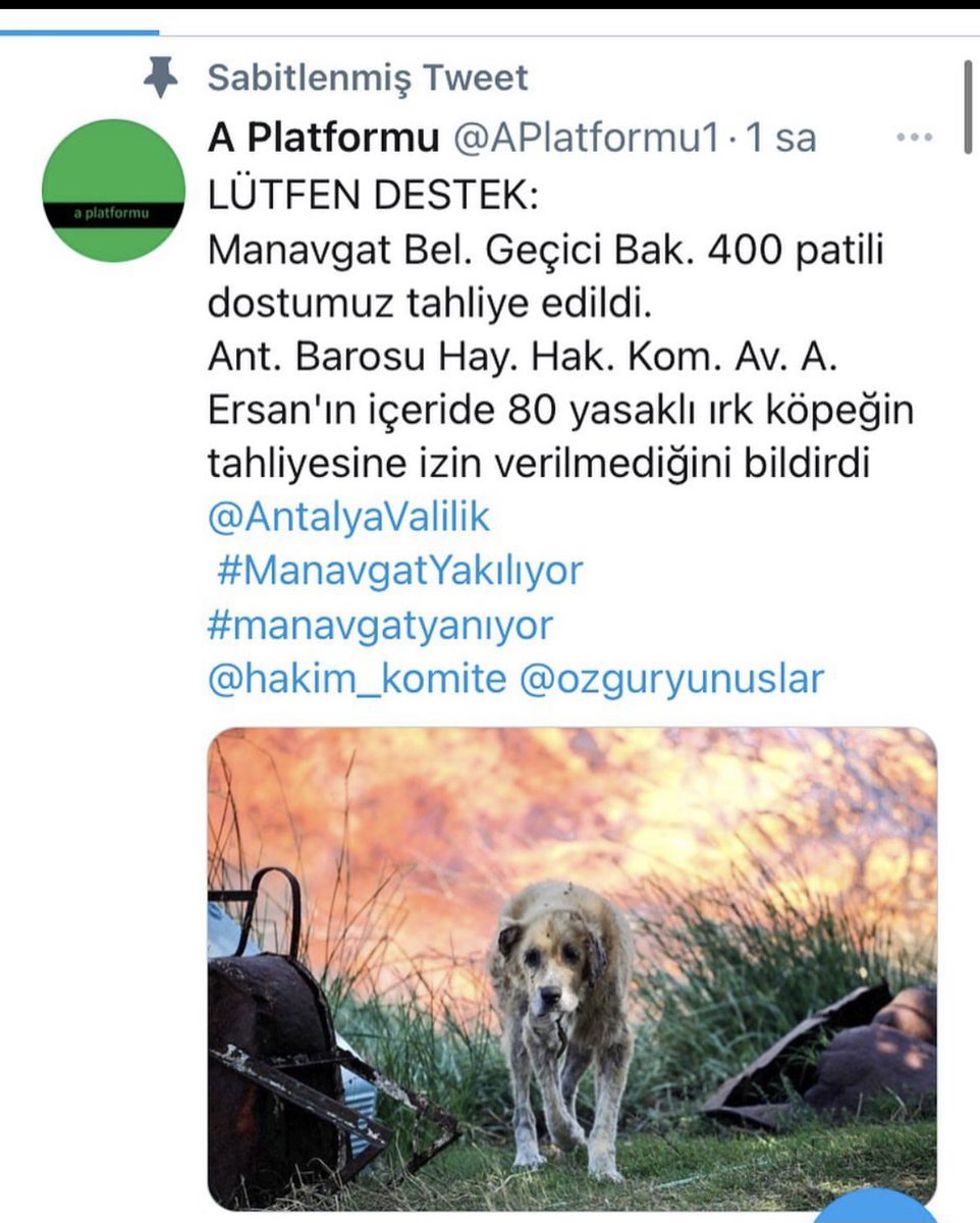 Retweet yapın arkadaşlar