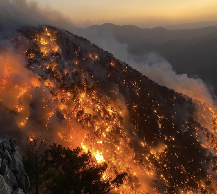  Εκκενώνεται το Ακούγιου! - Μεγάλη ρωσική κινητοποίηση με εντολή Πούτιν για την διάσωση της Τουρκίας! (Βίντεο)