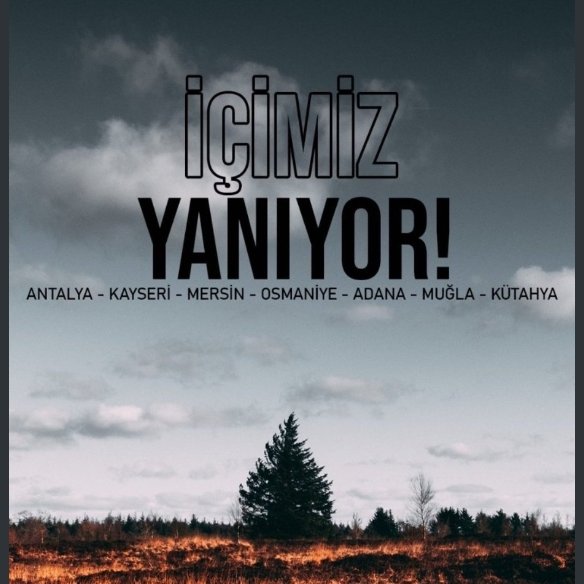 Ormanları yakmaya kalkan namussuzlar sadece Türkiye’nin değil, insanlığın, ekolojik sistemin, geleceğin düşmanıdır.

Ormanları yakanlara da, ormanları yakanları besleyenlere de, kullananlara da LANET OLSUN.