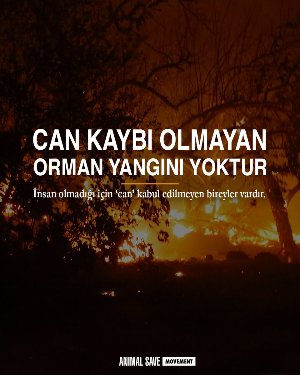 Türkiye'nin güneyi yanıyor, can kaybı milyonla ifade edilebilir!
#MANAVGATYANİYOR #bodrum #marmarisyangın