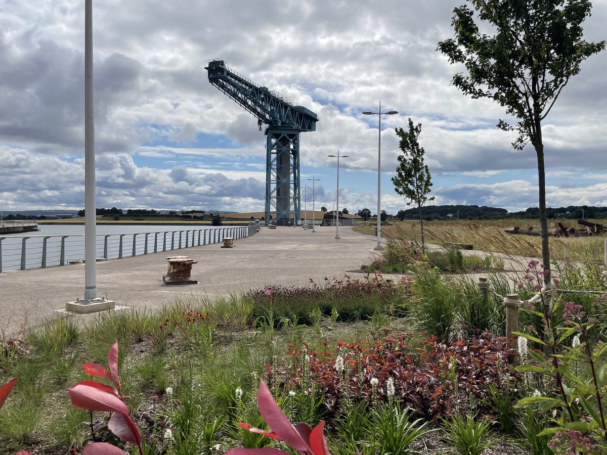rfblandscape's tweet photo. Some nice in-progress shots from our site visit to @Queens_Quay this week... planting coming on really nicely! Click for more info 👇
https://t.co/IiLWCrHbZ5
 #landarch #planting #heritage #historic #regeneration #Clydebank #Scotland #shipbuilding @TitanCrane https://t.co/LTn2T4w4NH
