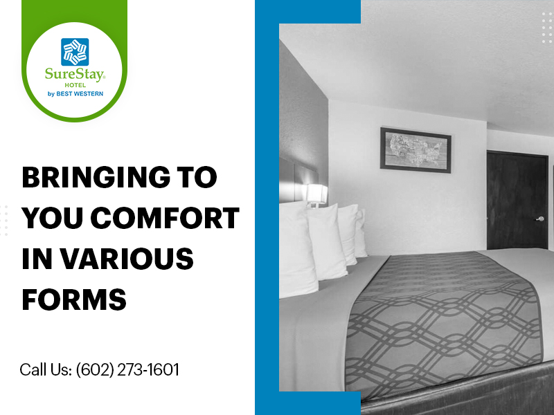 SurestayP's tweet photo. Pick one from our various comfortable rooms. We assure you coziest beds and well-maintained rooms.

Visit for booking https://t.co/vwoS9N1dA2

#surestay #phoenix #travelphoenix #freeairportshuttle #hotels #hotel #travel #hospitality #vacation #luxury #holiday #baseball https://t.co/wUi7FgaIyX