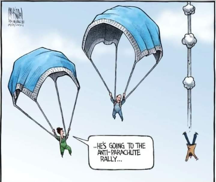 David Fisman tweet media