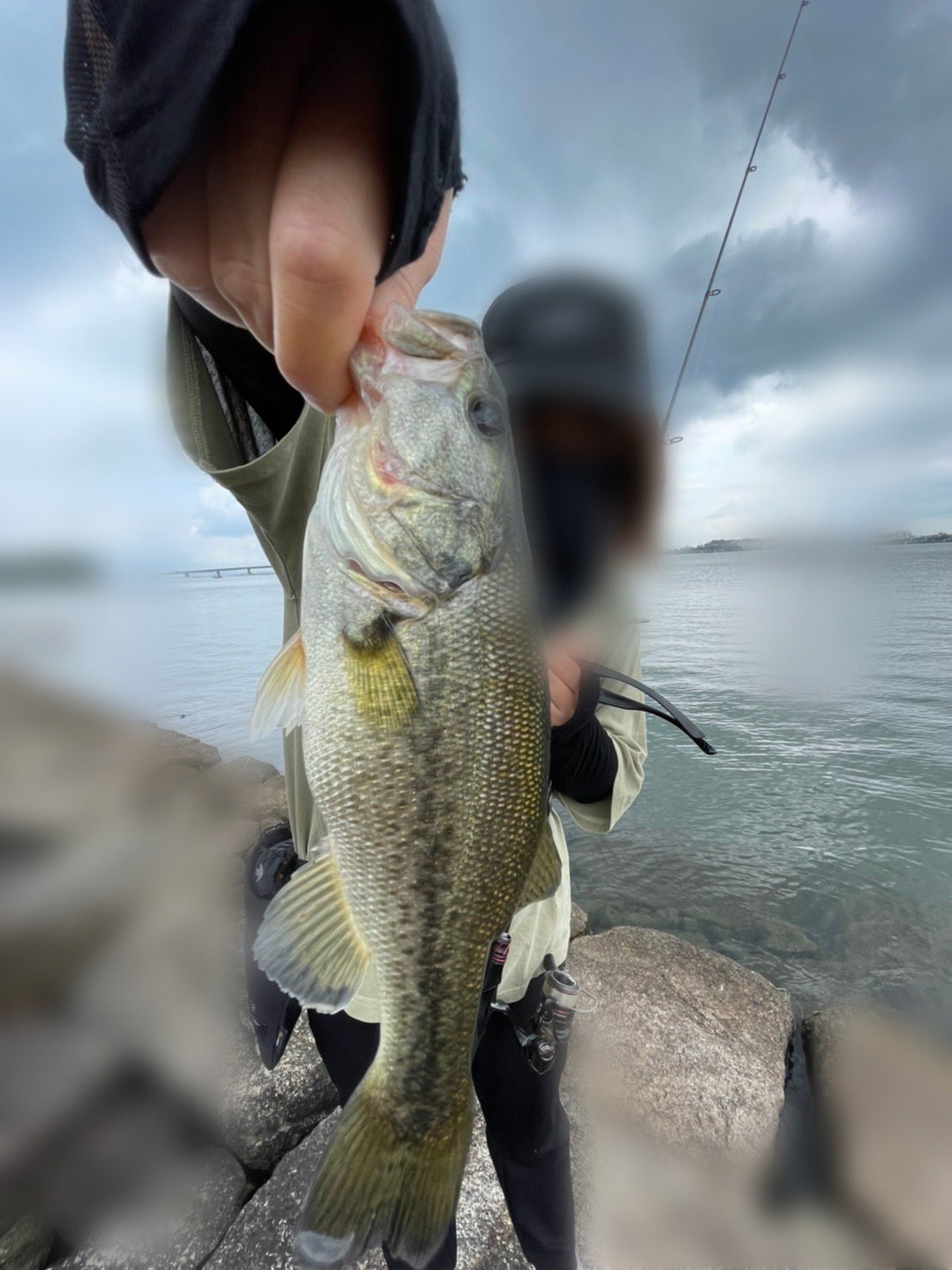 ぴぃ 釣り垢 早朝 夜釣りまでもボウズ続きで あまりに釣れなさすぎて 落ち込んでいたところに まさかのウェーダーデビュー 気持ちよすぎ にしても 釣れない ここ1ヶ月の釣果 釣行回数多数 ギル4匹 子バス1匹 デカバス釣りたい