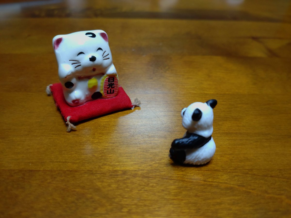 🐼「宝くじ当たらないっすかね〜」

🐱「買ってから言おうか？」