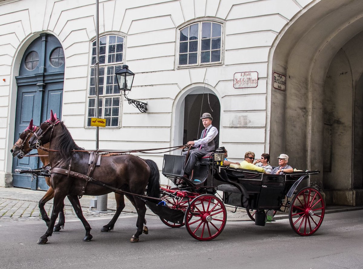 marnicpatterson's tweet photo. You could have lived here if you were a Habsburg (well, until 1918 anyway). #vienna #wien #viennanow #viennagoforit #vienna_austria #viennaaustria #vienna_city #greatescapepublishing #trip101com #travelphotographer #travelphotography #phototravel #tbt #thursdaythoughts https://t.co/8Ec8csnnzN