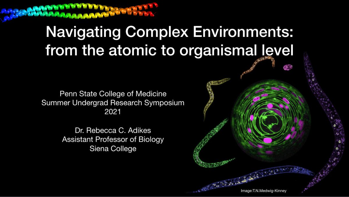 radikes's tweet photo. Looking forward to giving my first keynote for the summer undergraduate researchers @PSHResearch!👩🔬🔬🐟〰️📊🥳 #undergradresearch #SURIP https://t.co/yyhgnhWaz9