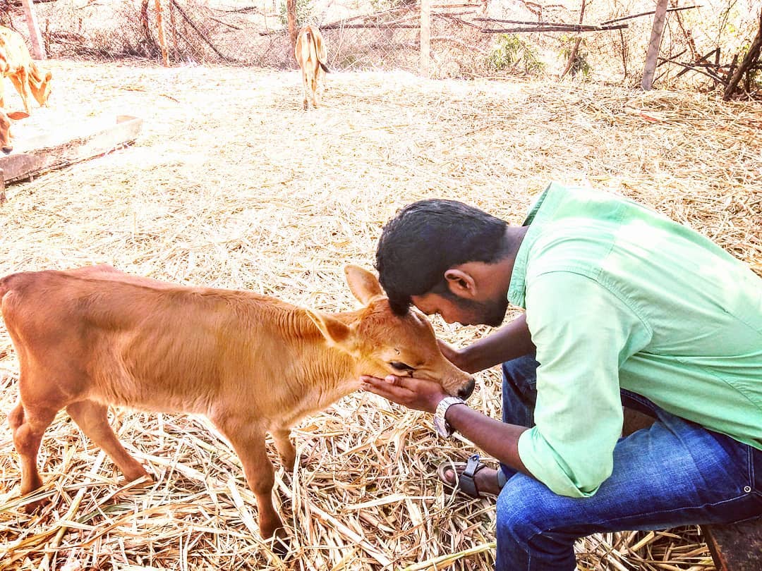 panditamizhar's tweet photo. There are only two person who knows what they want, one is parents for childs and another one is us veterinarians for animals
#APPOINT1141VAS
#விடியல்_அரசே_விடியல்_கொடு
#அன்புத்_தளபதி_ஆணையிடு
@mkstalin @ARROffice https://t.co/f78BWpxJJI