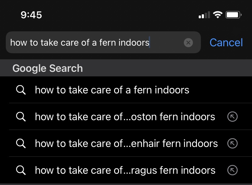 TimesNewAlli's tweet photo. *finally signs new lease 

*immediately googles the important stuff https://t.co/JJctkUliIU