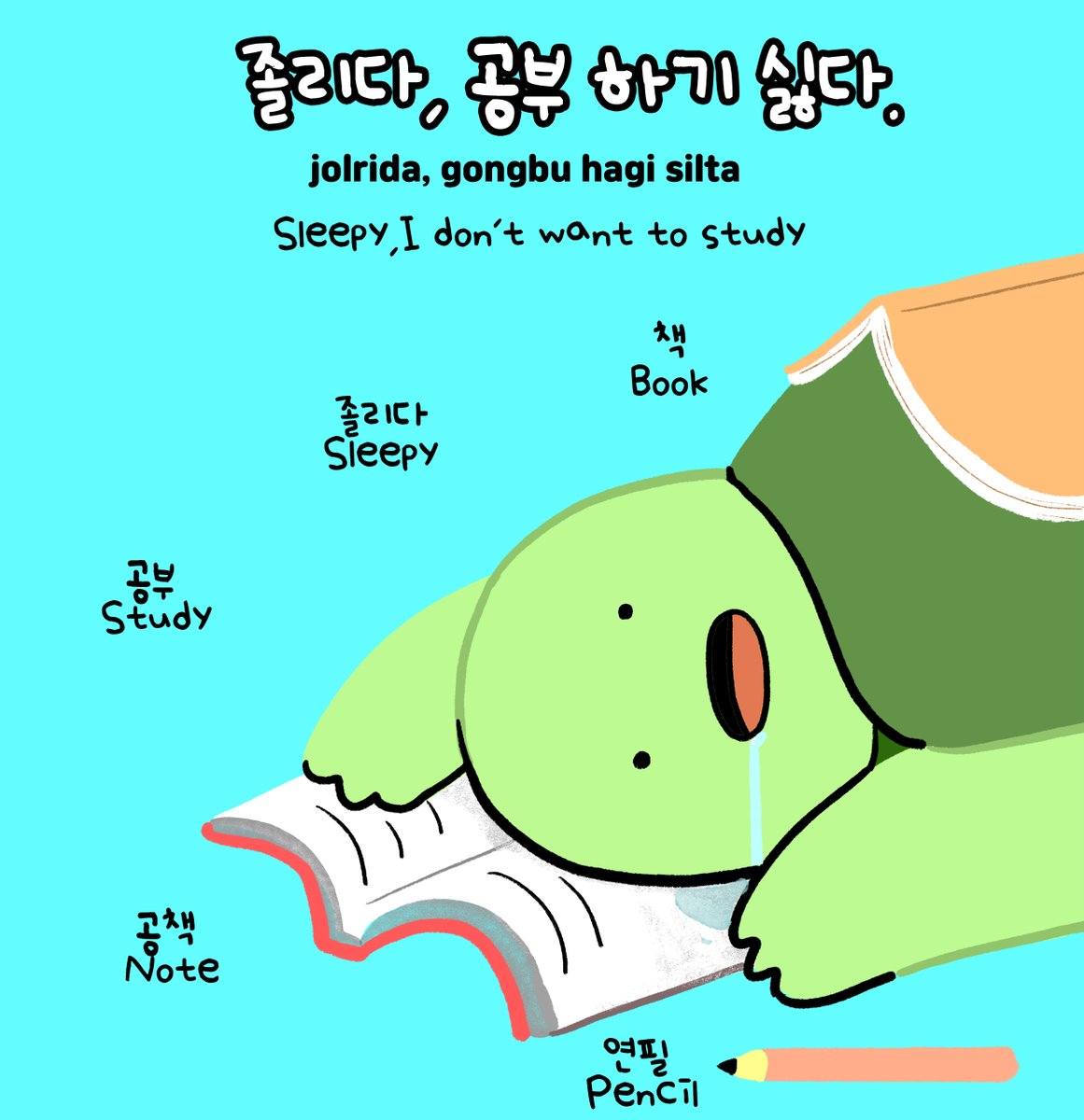 gobugi_korean's tweet photo. #illustration #art #artist #korean #topik #artwork #sketch #sketchbook #picturebook #animals #drawing #love #korea #한국어 #gobugi #turtle #한글 #한국어공부 #일러스트 #일상 #일상툰 #캐릭터 https://t.co/clwMphPz7y