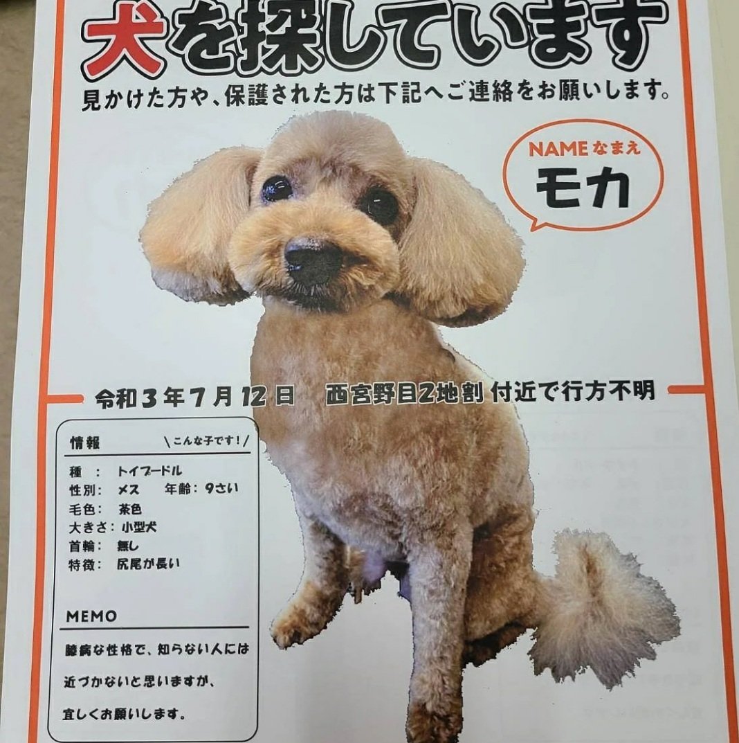 花巻市 Lang Ja Twitter Search Twitter 花巻市 Lang Ja Twitter Search Twitter