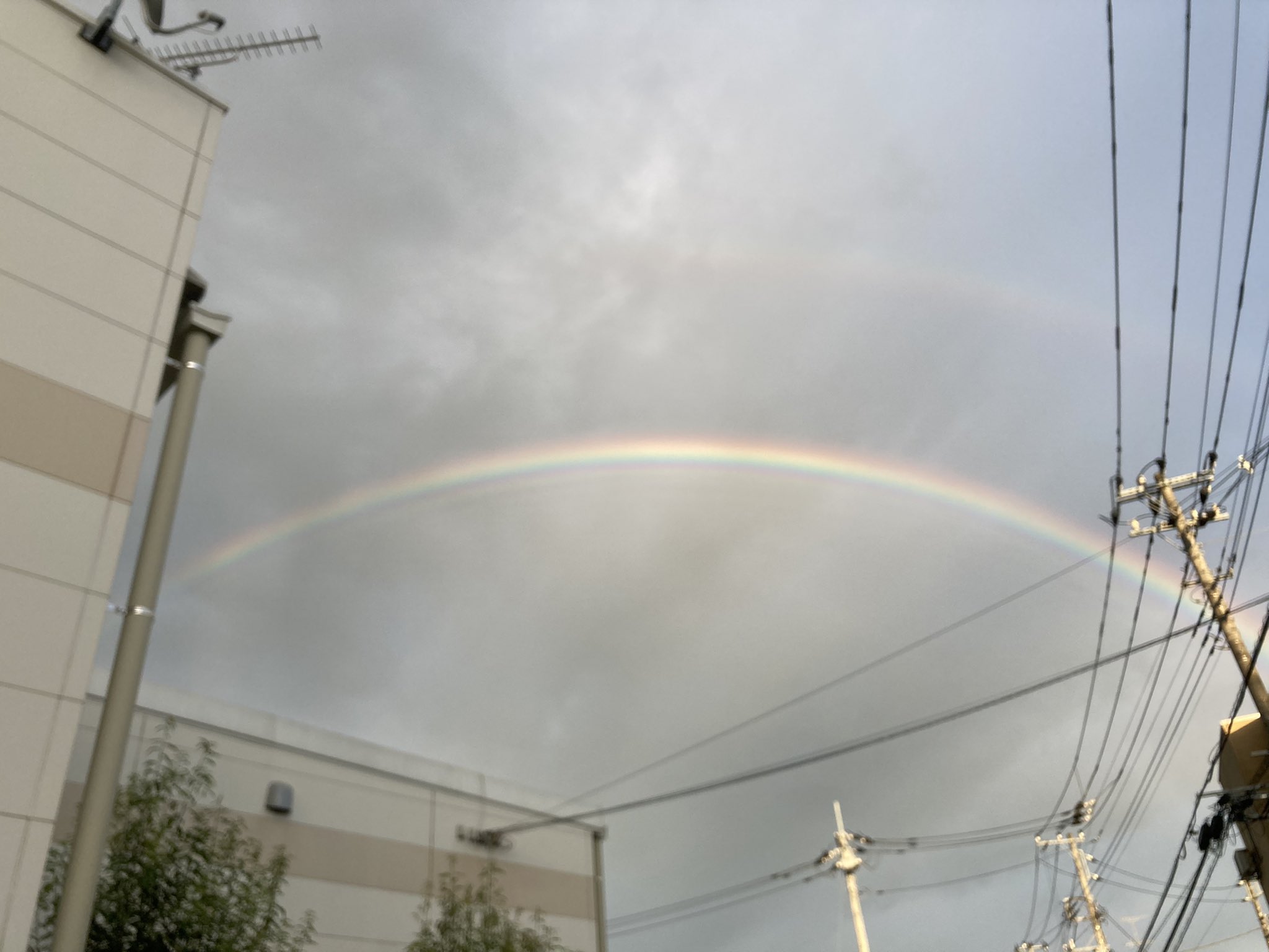 陸上芸人おっきー Okki Rikujo Twitter