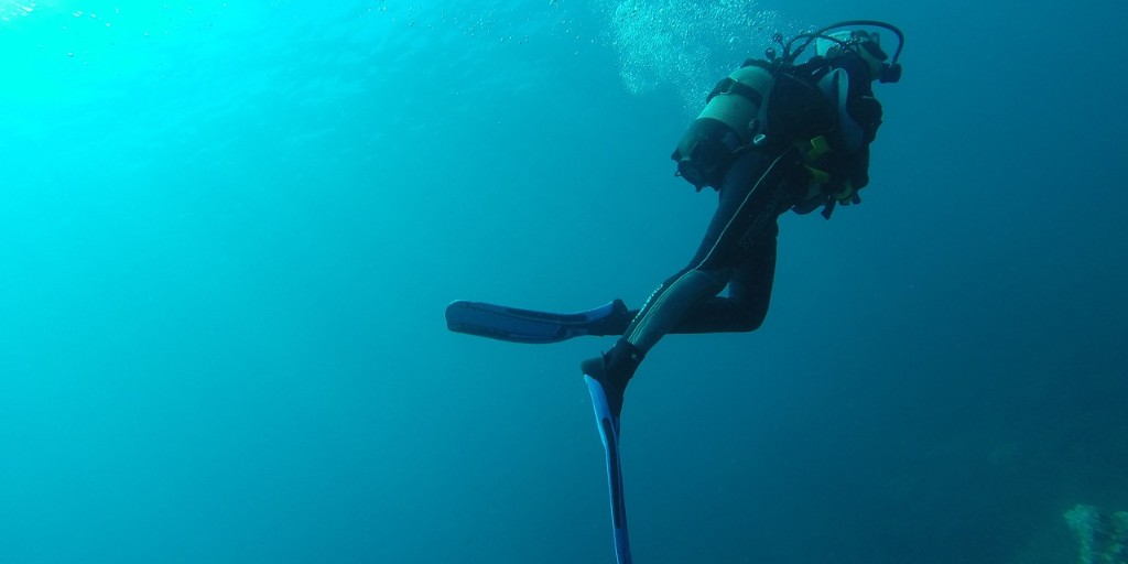 ChelseaLibrary's tweet photo. Join us August 19 at 6:30 for underwater views and a history of Michigan shipwrecks with Ross Richardson! https://t.co/brPDyiGh9b #chelseadistrictlibrary #chelseamich #scuba #ships https://t.co/et6JhbuXVd
