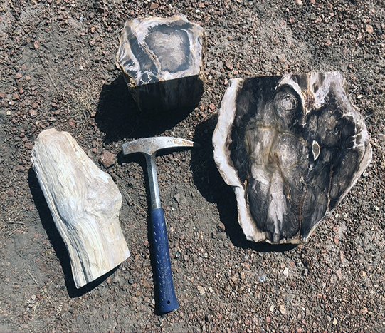 Rock & Gem tweet media