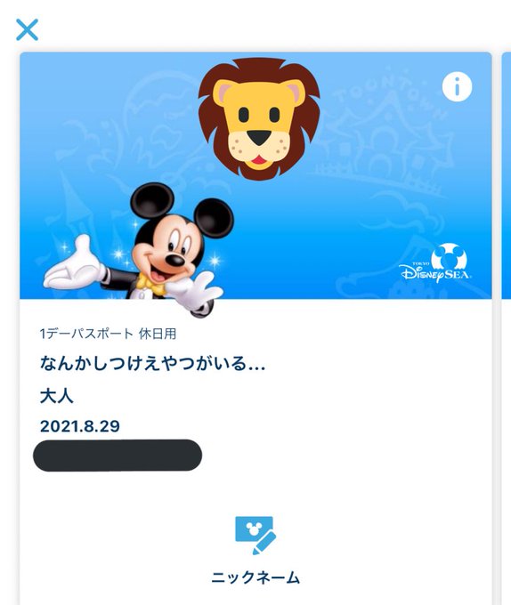 ディズニーチケットのニックネームは本名 変更方法は漢字 英語 令和の知恵袋