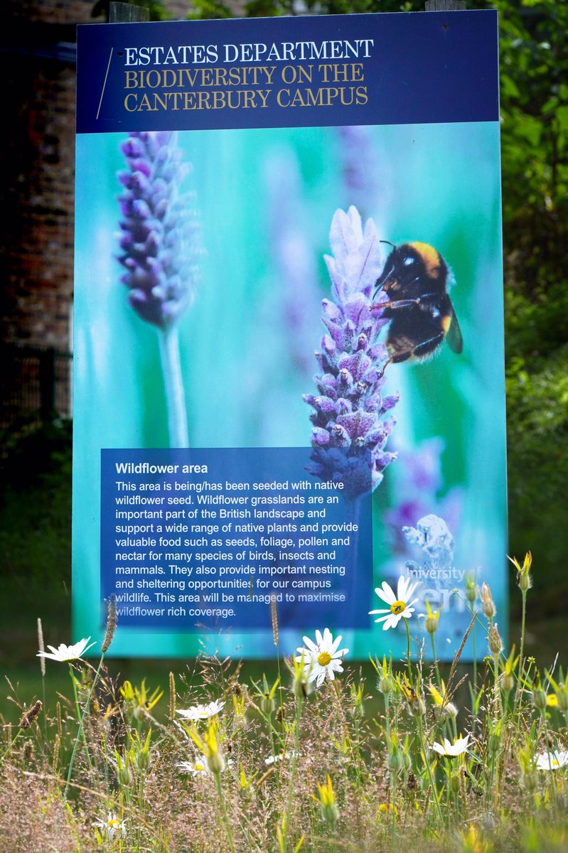 Jim Higham  tweet media