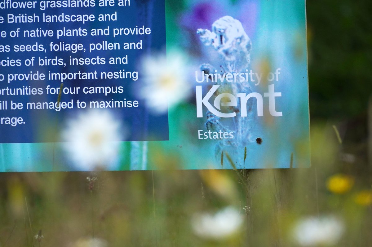 Jim Higham  tweet media