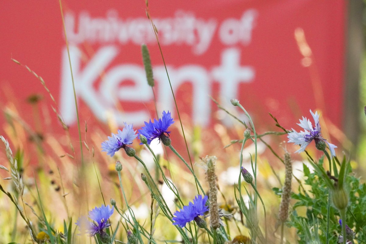 Jim Higham  tweet media